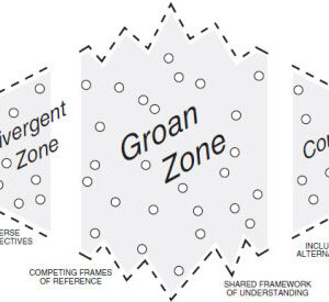 Group Decision Making - The Groan Zone - Short Course